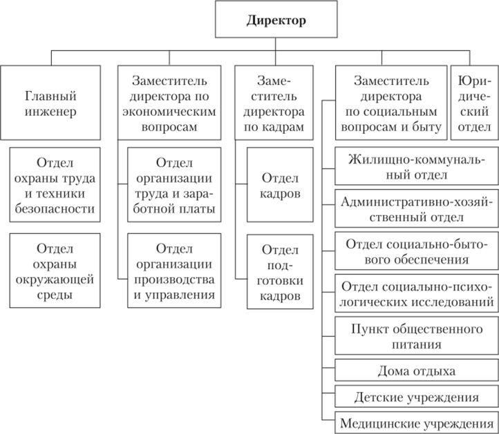 Типичная структура управления организацией.