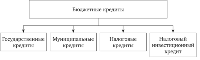 Виды бюджетных кредитов в Российской Федерации.