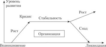Традиционная модель жизненного цикла организации.