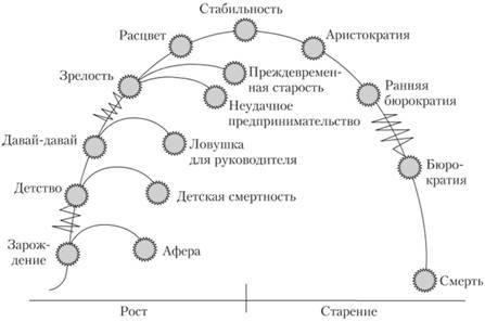 Стадии жизненного цикла организации (по И. Адизесу).