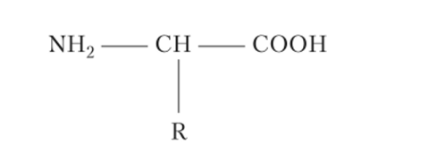 Структурная формула аминокислоты.