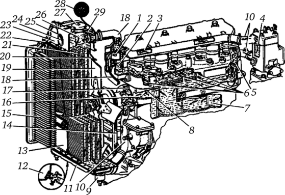 Система охлаждения двигателя Д-240Л.