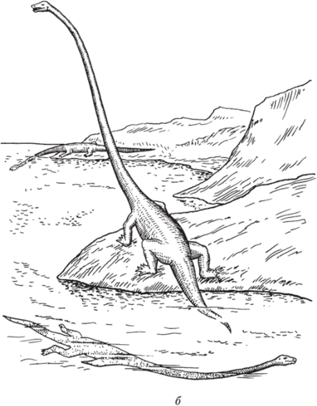 Рис. 64. Специализированные триасовые ящерицы: а — Icarosaurus; б — Tanystrophcus (по Е. Кольбсрту и Р. Уидау).