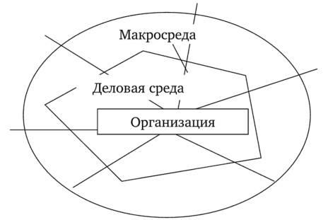 Структура внешней среды организации.