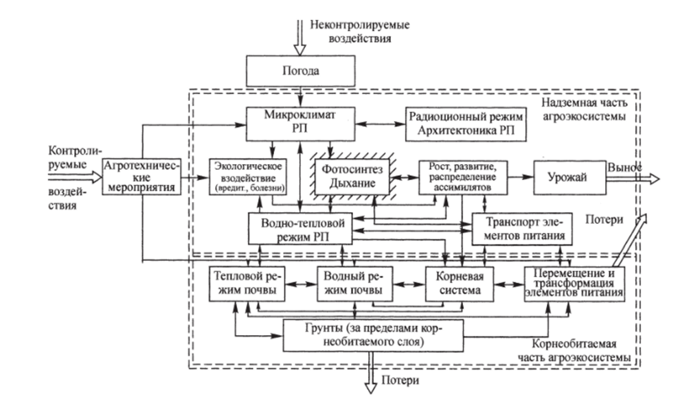 Общая модель прироста биомассы.