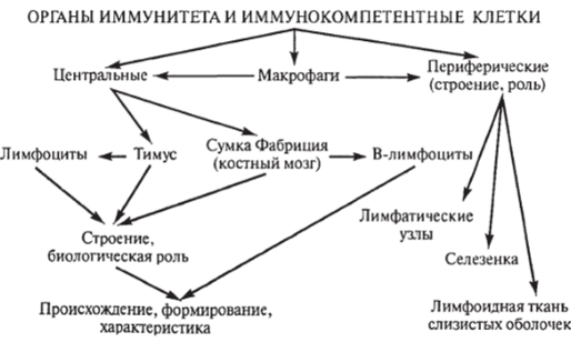 Схема иммунной системы торами.