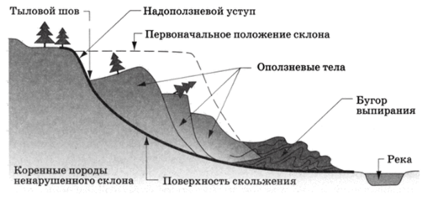 Схема строения оползня зают огромные глыбы верхнеюрских известняков первой гряды Крымских гор — Яйлы.