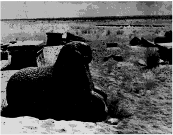 Полузасыпанные песком руины одного из городов древнего Мероитского царства (современный Судан, Африка), которое процветало около 2000 лет назад. Курьер ЮНЕСКО, № 8,1977.