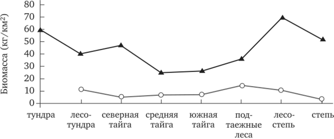 Зональные изменения биомассы населения птиц Западно-Сибирской равнины.