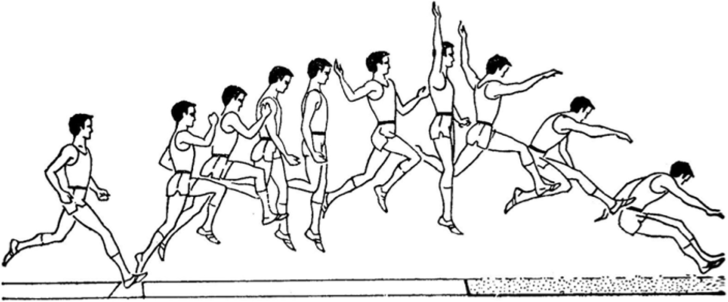 Прыжок в длину с разбега способом ножницы (контурограмма).