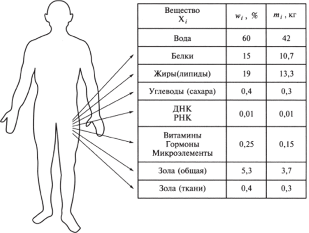 I. Вещественный состав организма человека (А/ = 70 кг).