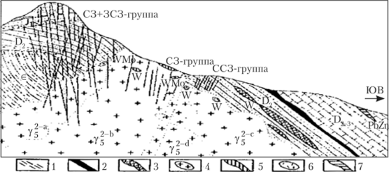 Металлогеническая модель в разрезе полиметалльно-вольфрамового рудного поля Яогансянь (по Гу Цзюйюню).