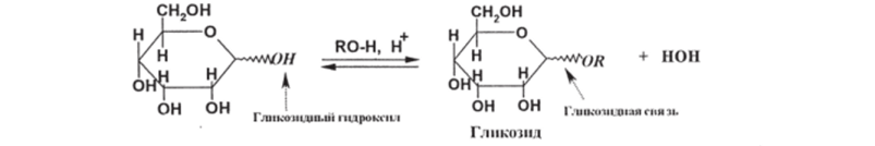 Реакции гидроксигрупп моносахаридов.