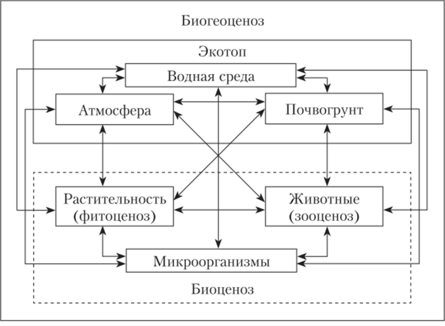 Схема взаимодействия компонентов в биогеоценозе.