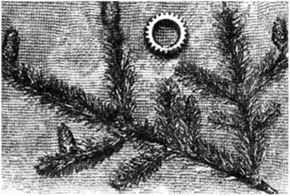 Литая пластина, на которой изображена ветка сосны с шишками и шестеренкой.