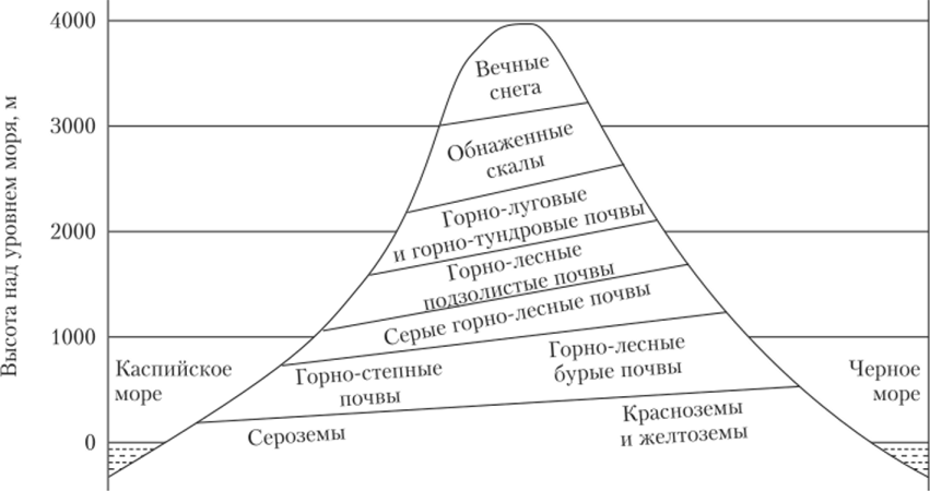 Вертикальная зональность почв на примере Большого Кавказа.