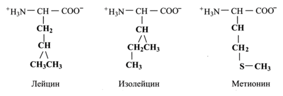 Общие структурные свойства аминокислот.