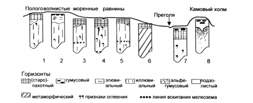 Схема строения профилей наиболее распространенных почв Калининградской области.