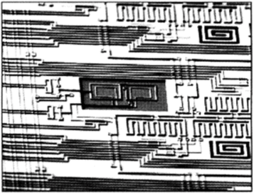РЭМ-изображение ниобиевых спиралей на чипе Leda.