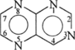 Дальнейшее азотирование молекул пиридина.