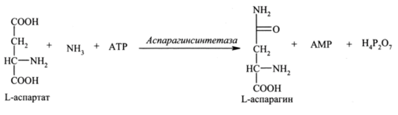 Классификация ферментов на основе реакционной и субстратной специфичности.
