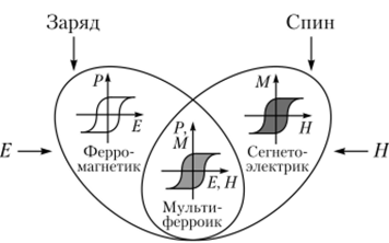 Гистерезис ферромагнетика, мультиферроика, сегнетоэлектрика.