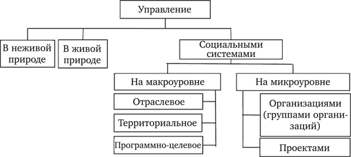 Структура систем управления и место программно-целевого.