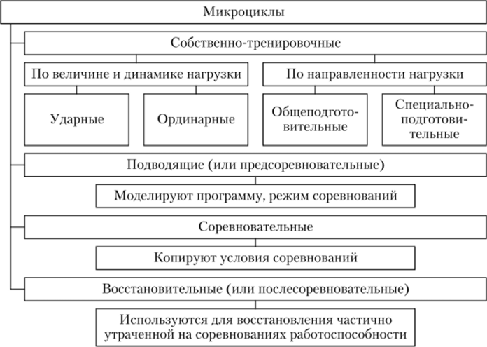 Разновидности традиционных микроциклов тренировки (по Л. П. Матвееву с соавторами).
