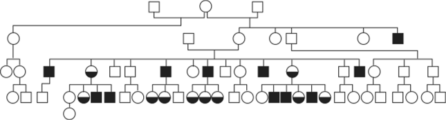 Родословная при Х-сцепленном доминантном типе наследования (фолликулярный кератоз).
