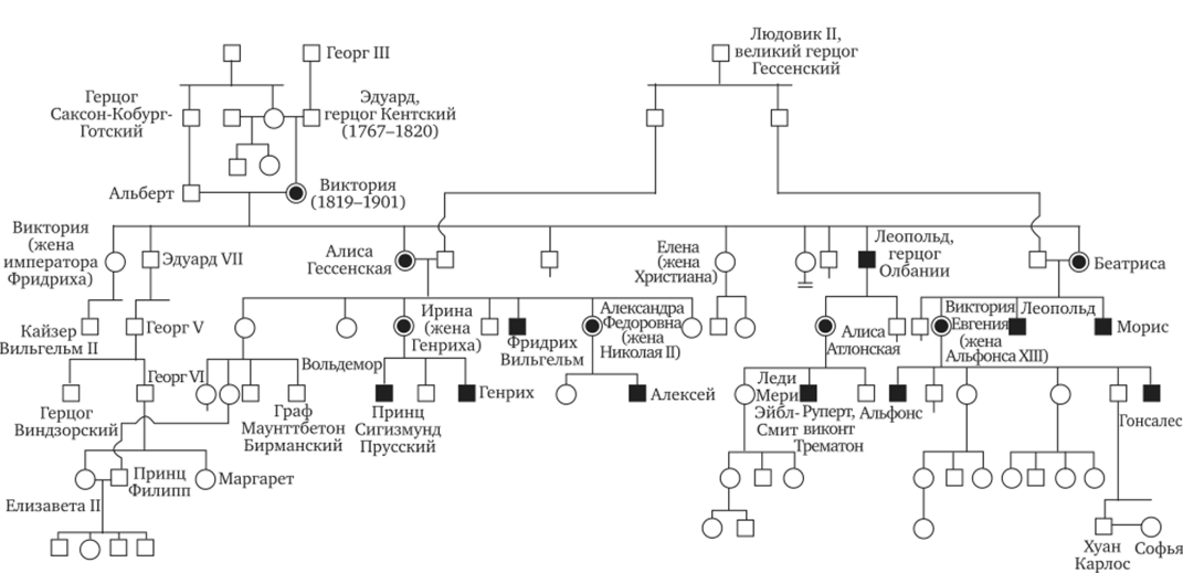 Родословная при Х-сцепленном рецессивном типе наследования (гемофилия типа А).