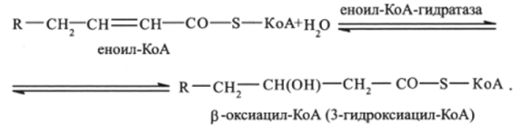 Третья стадия. р-оксиацил-КоА дегидрируется с образованием 3-оксиацилКоА (катализируется ферментом N А Независимой дегидрогеназой):