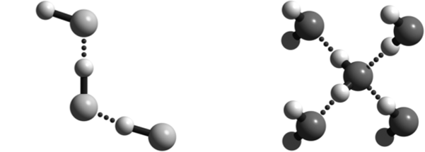 Водородные связи в молекуле HF.