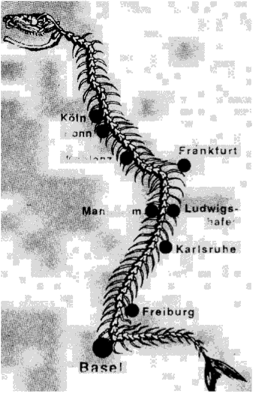 Так выглядел Рейн после отравления в результате аварии в ноябре 1986 г. (Новое время, № 48,1986, рис. из газеты Zeit).