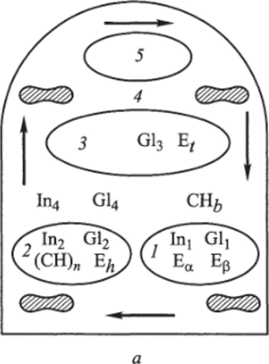 Схема гуморальной регуляции содержания глюкозы в крови человека (а) и структурно-кинетический граф (б).