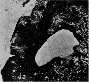 Один из крупнейших айсбергов (длиной в 74 км), который оторвался от ледяного щита Антарктиды. Снимок с метеорологического.