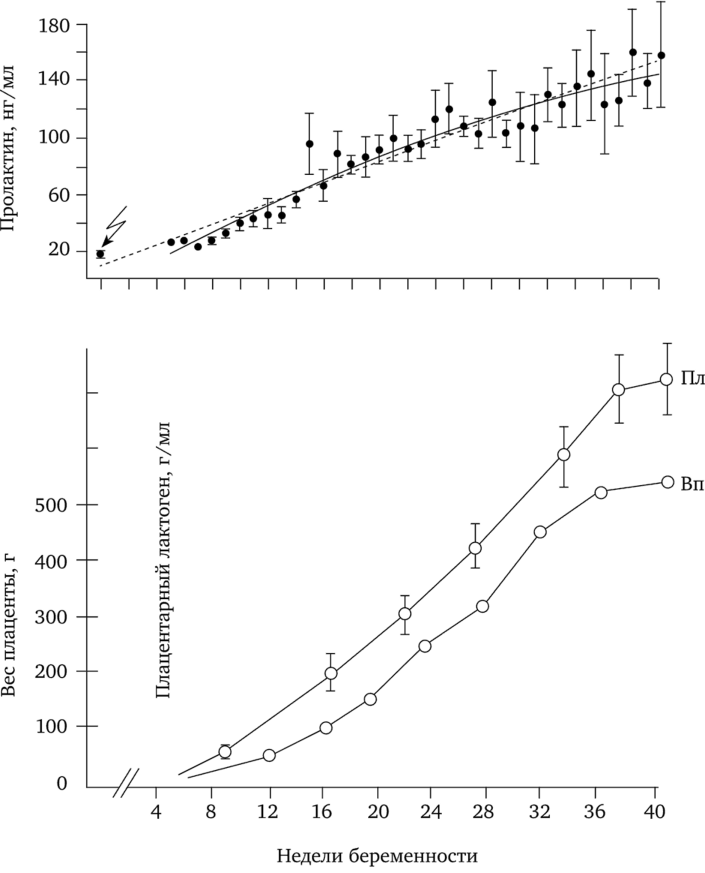 Изменение концентрации пролактина (по Rigg et al., 1977) и плацентарного лактогена (по Selenkow, 1969) в крови беременных.