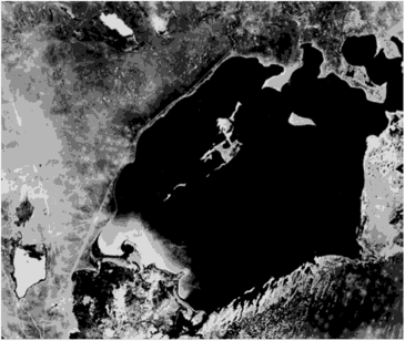 Космический снимок Арала, полученный с высоты около 250 км с орбитальной станции «Салют» в 1977 г.