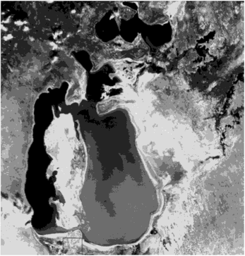 Космическое изображение Арала со спутника Terra (EOS-AM1), полученное 5 октября 2000 г. с разрешением 500 м. Море уже почти разделилось на три части.