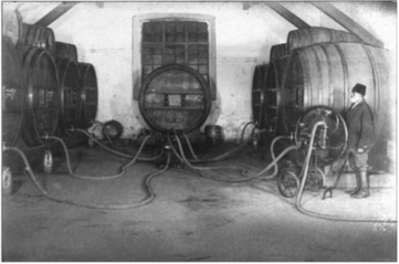 Л. С. Голицын и его роль в становлении отечественного виноградарства и виноделия.