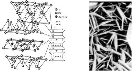 Структура хлорита и вид его кристаллов под микроскопом.