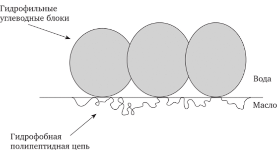 Схематичное изображение стабилизации масляных капель с помощью молекул гуммиарабика.