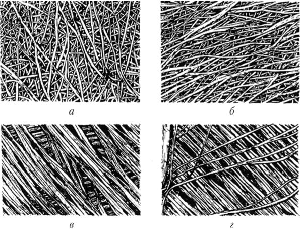 Клеточная стенка на электронно-микроскопической фотографии.