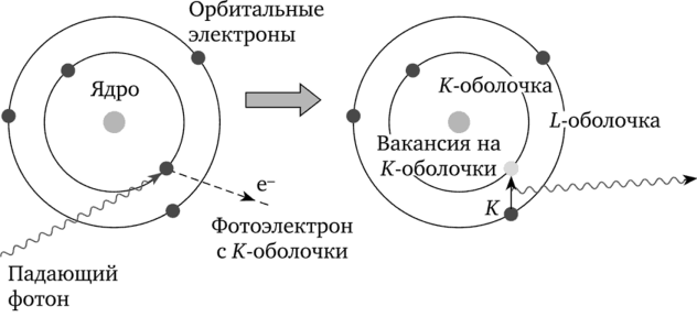 Схематическое изображение фотоэлектрического поглощения фотона и последующего испускания характеристического фотона.