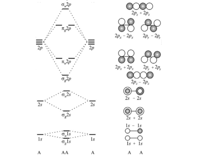 Энергетическая диаграмма и схематические изображения МО двухатомных гомоядерных молекул, построенных из атомов элементов второго периода.