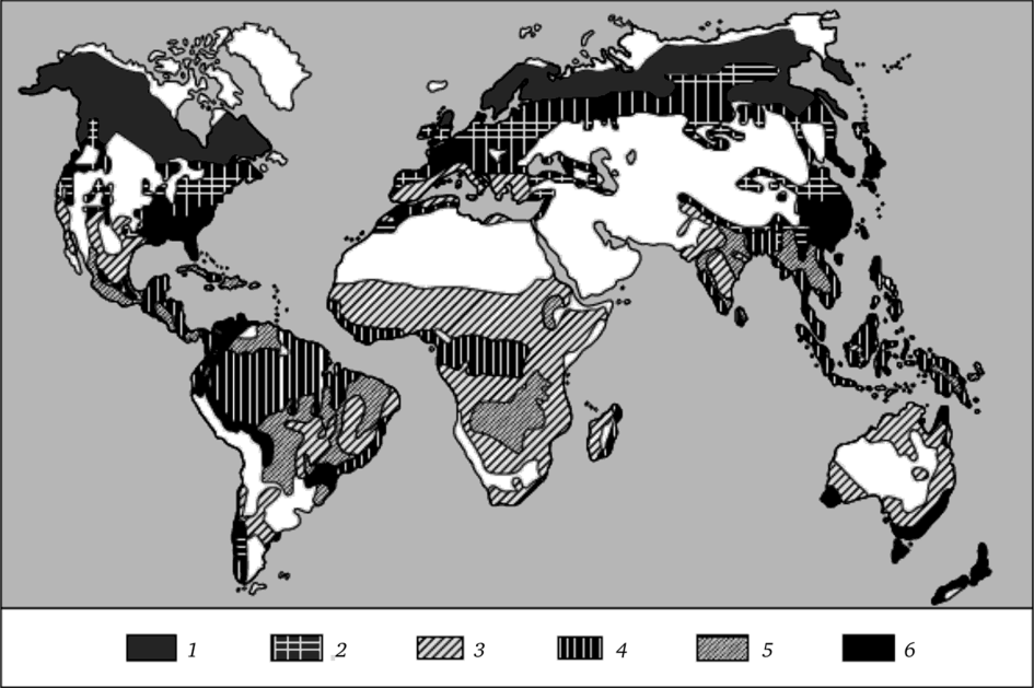 Схематическая карта лесов мира [30].