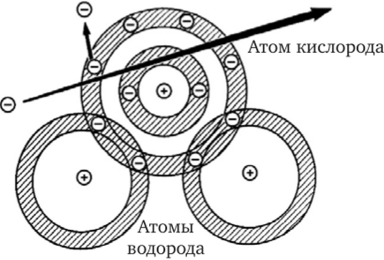 Схематическое представление акта ионизации молекулы воды.