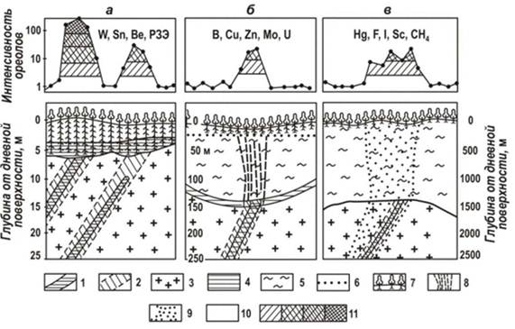 Схема биогеохимических ореолов над скрытой рудной зоной.