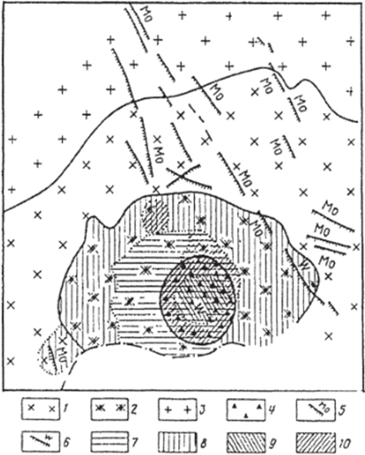 Схема размещения оруденения на Булуктаевском вольфрам-молибденовом месторождении (по Г. И. Туговику).