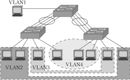 Несколько физических портов по числу виртуальных локальных сетей.