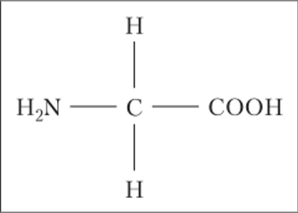 Химическая формула участка полипептида.